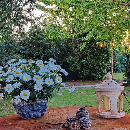Relais Felciaino