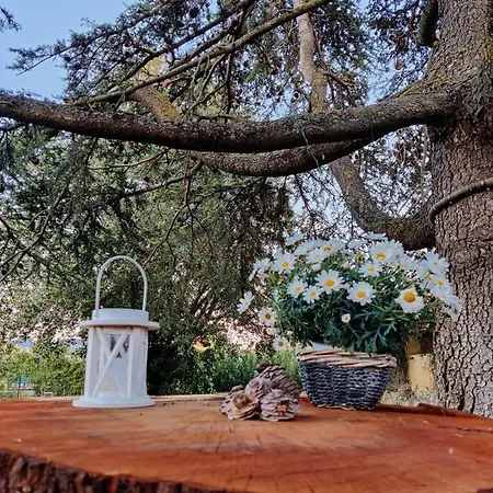 Relais Felciaino Отель типа 
