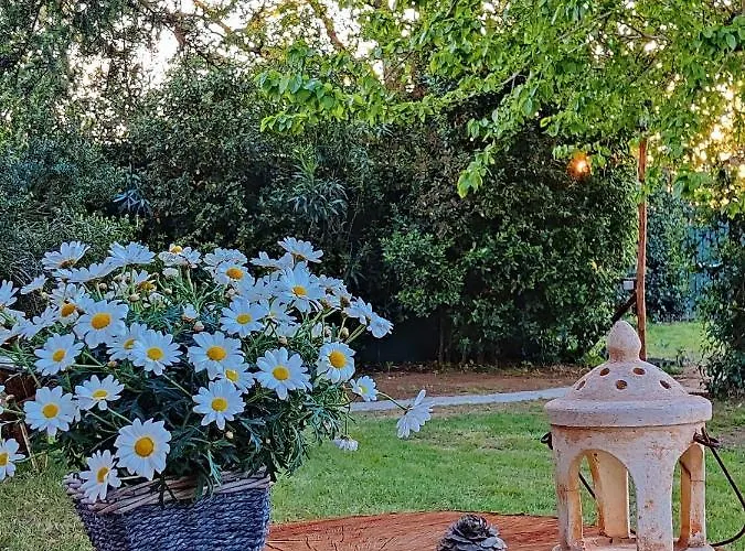 Relais Felciaino
