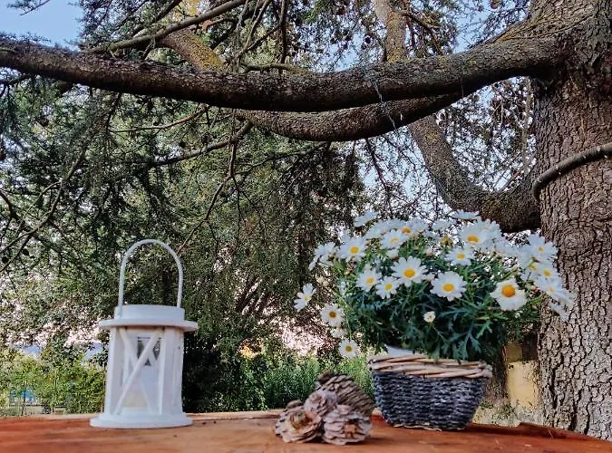 Relais Felciaino Bed & Breakfast 4*