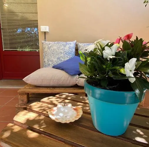 Relais Felciaino Bed & Breakfast Bolgheri
